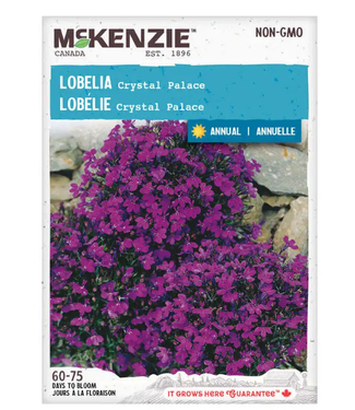 Mckenzie Lobelia Crystal Palace Seed Packet