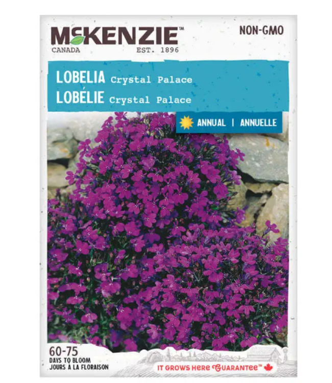 Mckenzie Lobelia Crystal Palace Seed Packet