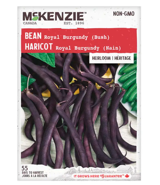 Mckenzie Bean Royal Burgundy (Bush - Heirloom) Seed Packet