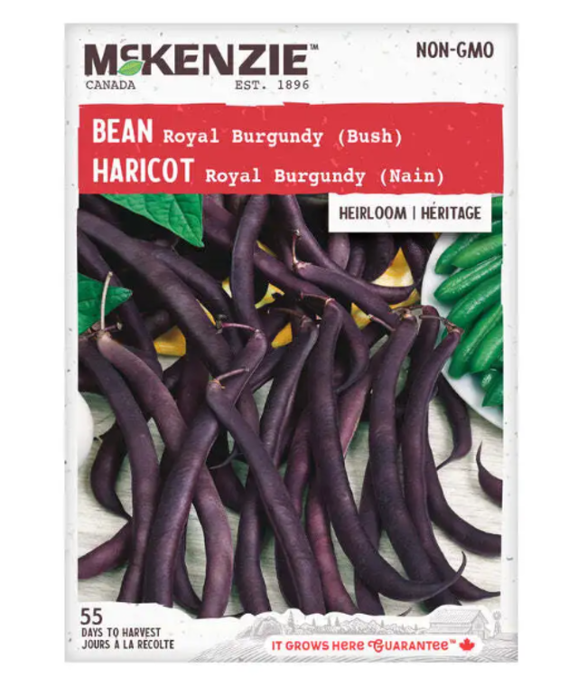 Mckenzie Bean Royal Burgundy (Bush - Heirloom) Seed Packet
