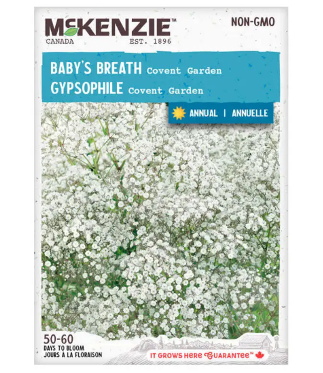Mckenzie Baby's Breath Gypsophila Seed Packet