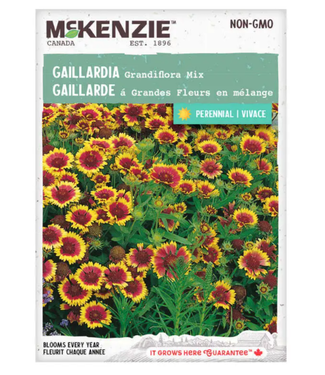 Mckenzie Mckenzie Gaillardia Grandiflora Mix Seed Packet