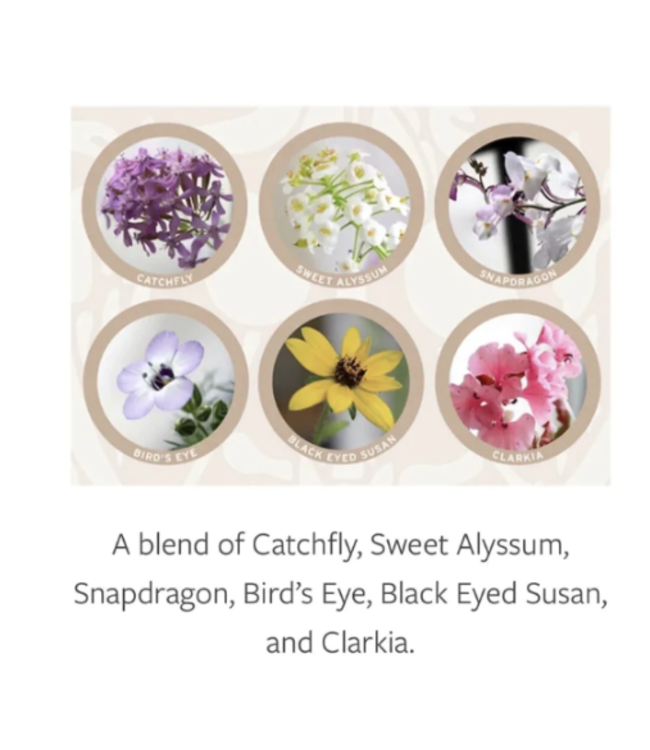 Just Love Plantable Greeting Card