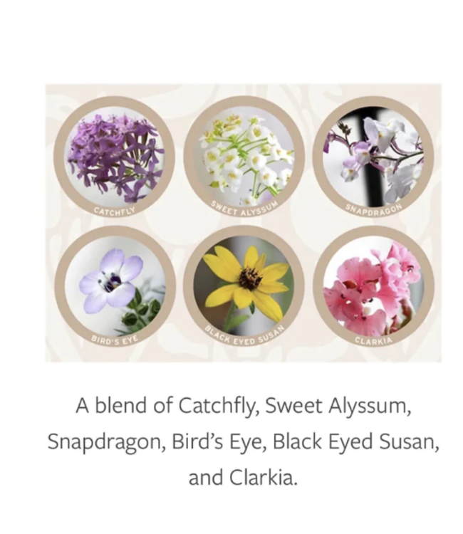 See This Giraffe? Plantable Greeting Card | Wildflowers