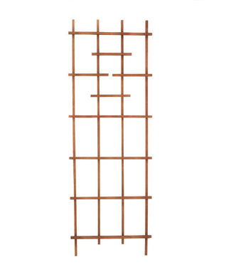 Wood Ladder Trellis 72" Brown