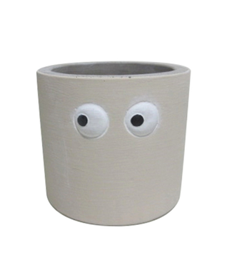 Evergarden 3" Googly Eye Planter 8x7 cm