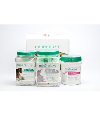 Mineraluxe 3 Month Bromine Mineraluxe System1