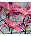 Tiny Series Asiatic Lily (Lilium asiatica 'Tiny')