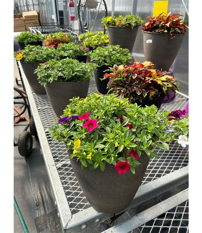 Vibrant Deck Planter 12in [10]
