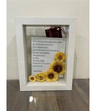 Wilted Wonders (C) Small Shadow Box Frame