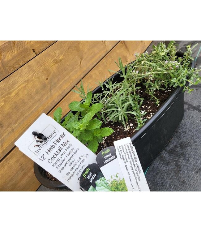 12"  Herb Planter [10]