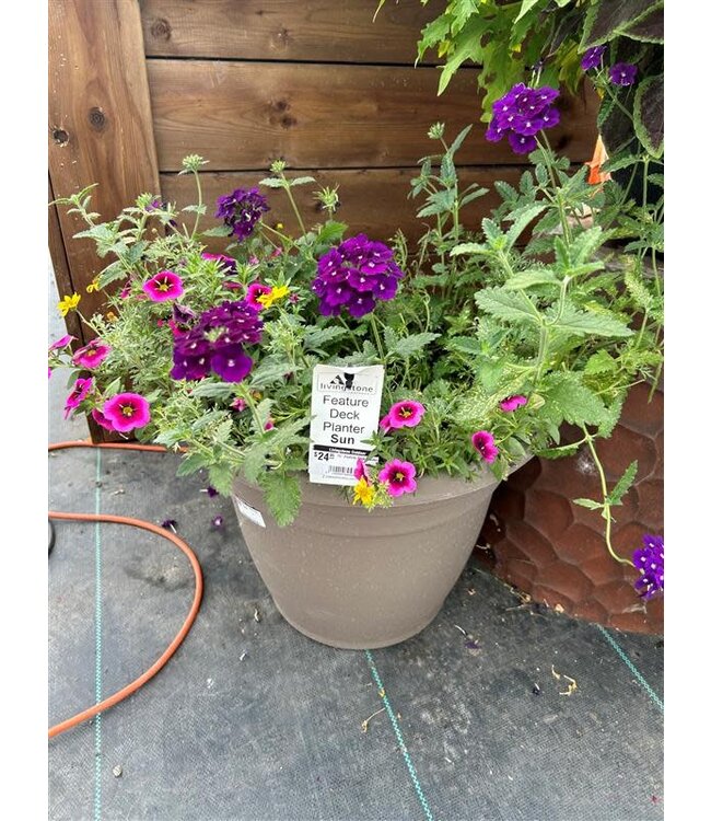 Staylish Welcome Planter 15in [10]