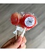 Mini Handcrafted Rainbow Lollipops