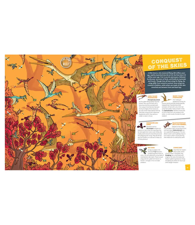 Seek & Find - Dinosaurs