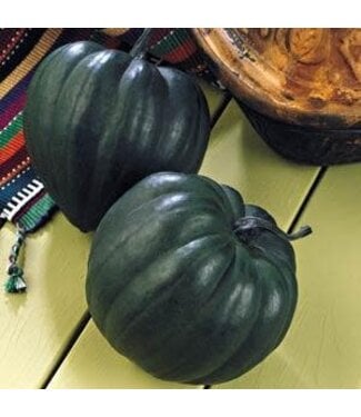 Livingstone Squash (Taybelle Acorn) 4in [2]