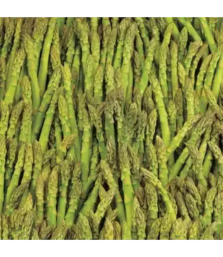 Livingstone Asparagus Mary Washington 1gal [10]