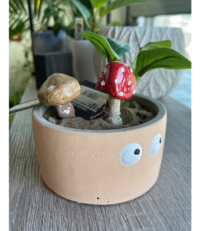 Mushroom Plant Spike