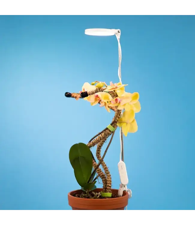 Adjustable LED Plant Light