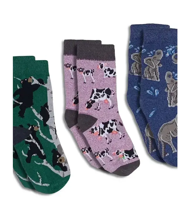 Kids Socks | 3 Pack