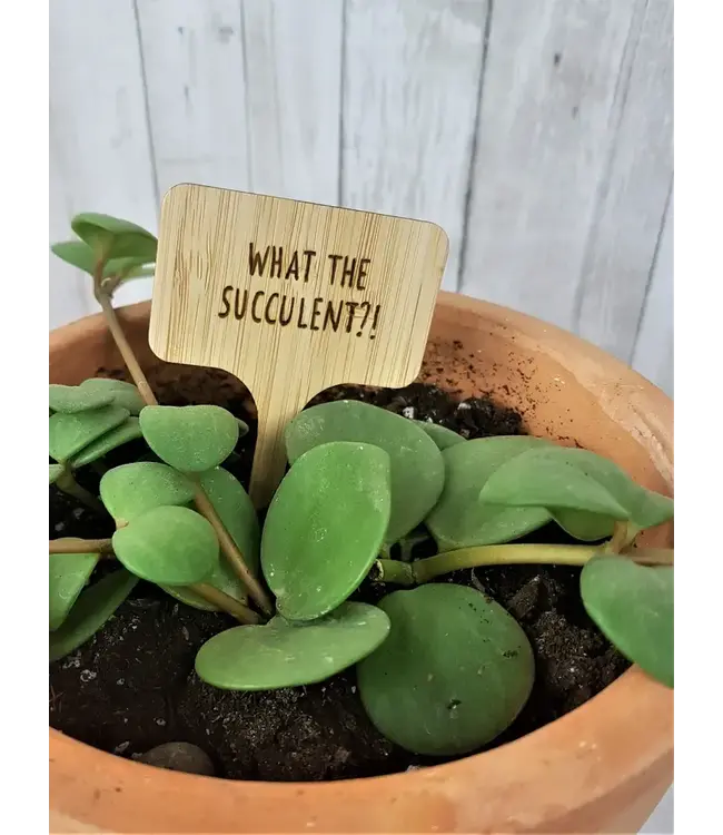 Plant Tag