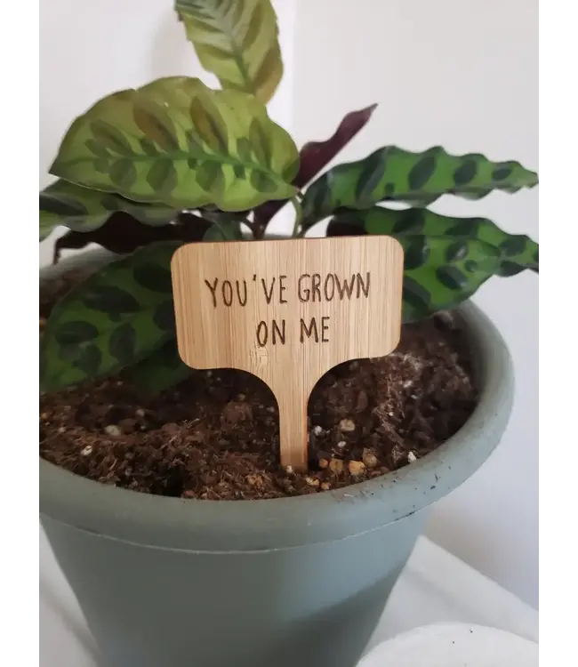 Plant Tag