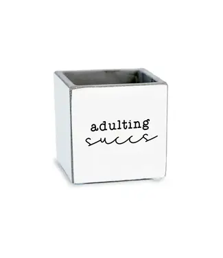 Adulting Succs | Succulent Pot