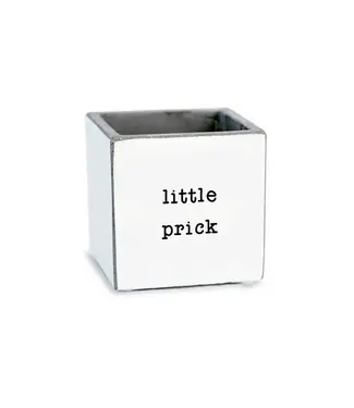 Pinetree Innovations Little Prick | Succulent Pot