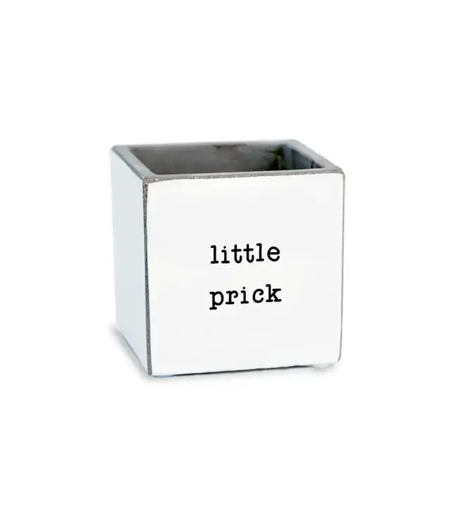 Little Prick | Succulent Pot