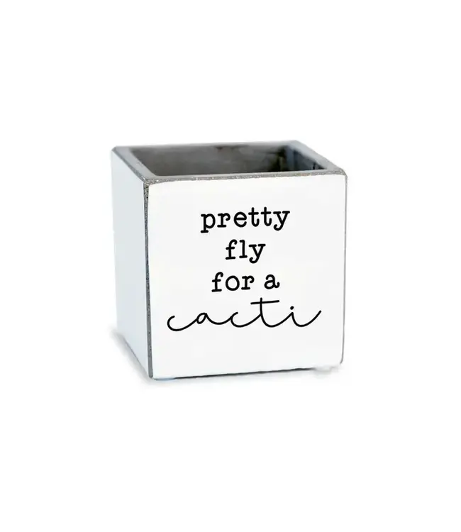 Pretty Fly For A Cacti | Succulent Pot