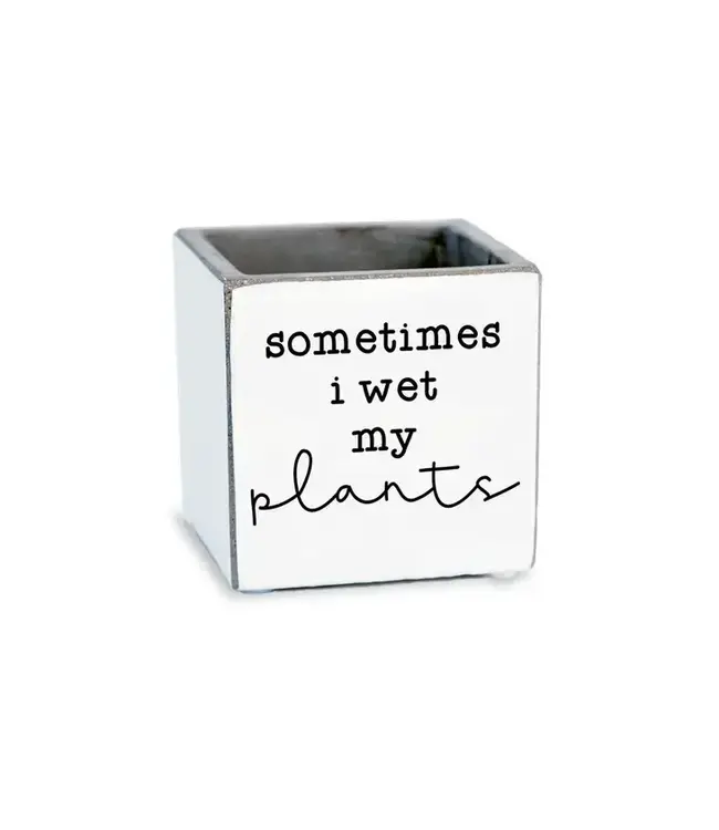 Sometimes I Wet My Plants | Succulent Pot