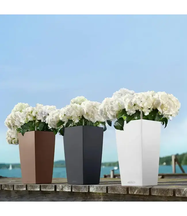 LECHUZA CUBICO Poly Resin Tall Floor Planter  Sand Brown Color 22