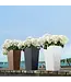 LECHUZA CUBICO Poly Resin Tall Floor Planter  Sand Brown Color 22