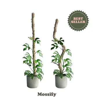 Mossify Original Bendable Moss Pole - Medium 30"