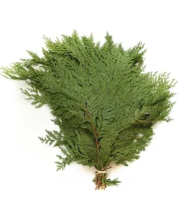 *US* Cedar Bunch Red (3lbs)