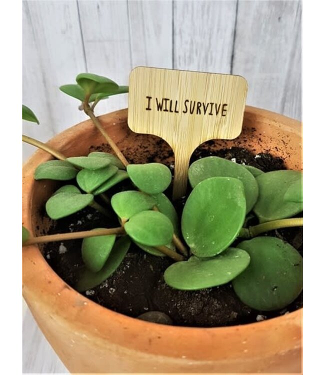 Plant Tag