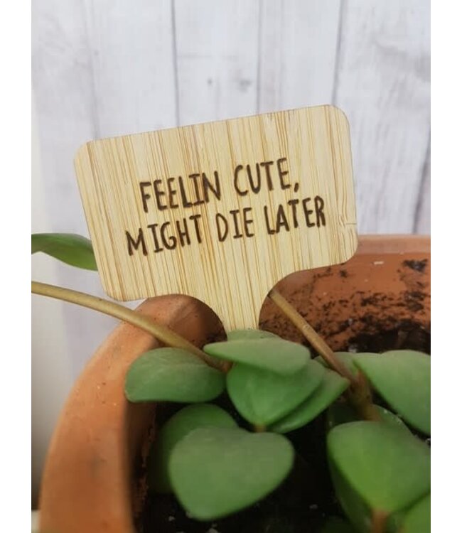 Plant Tag
