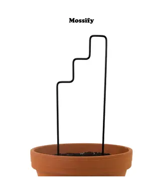 Mossify "Plant Stairs" Metal Trellis - Trailing Plant Support | Black
