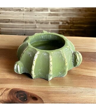 Evergarden Cactus Cement Squat Pot 18.5x5.8cm