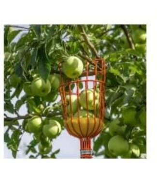 Holland Imports Telescopic Fruit Picker | 57"-92"