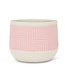 Abbott Collection Pink Lg Etched Planter - 6.5"