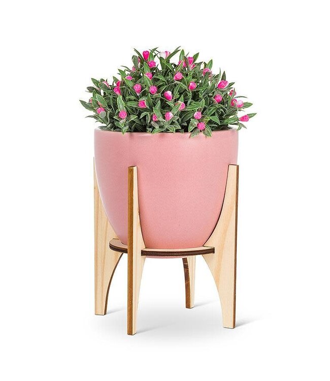 Lg Pot w/Wooden Stand-Pink- 4.5"
