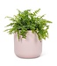 Abbott Collection Large Classic Planter Pink - 6.75"