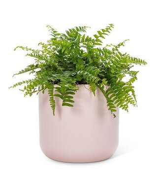 Abbott Collection Extra Large Classic Planter Pink - 7.75"