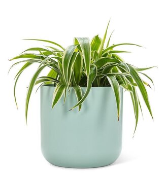 Abbott Collection Extra Large Classic Planter Mint - 7.75"