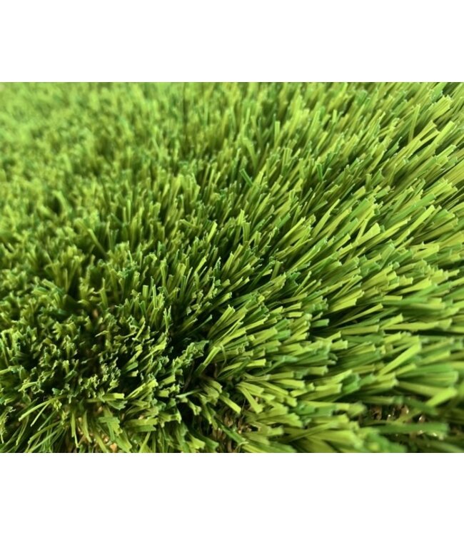 Lux Lawn Windermere 100 | Per Linear Foot (1ft x 15ft)