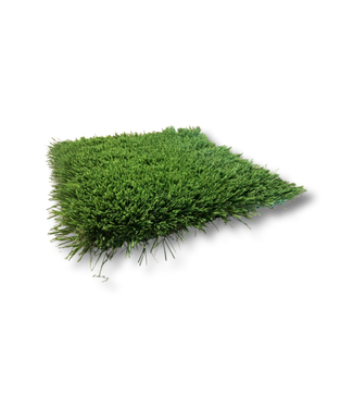 Lux Lawn Lux Lawn Windemere 100 | Roll 15ft x 100ft