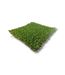 Lux Lawn Pet and Play 60 | Roll 15ft x 100ft