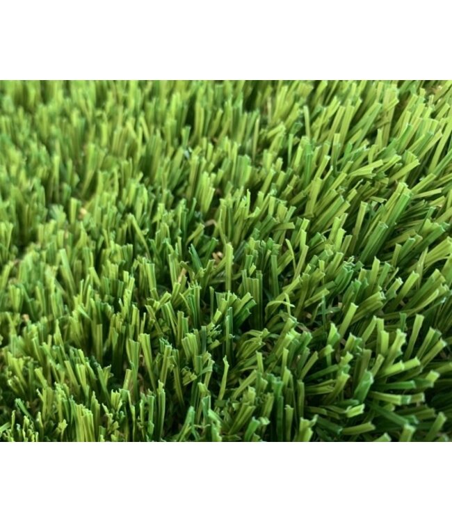 Lux Lawn Pet and Play 60 | Roll 15ft x 100ft