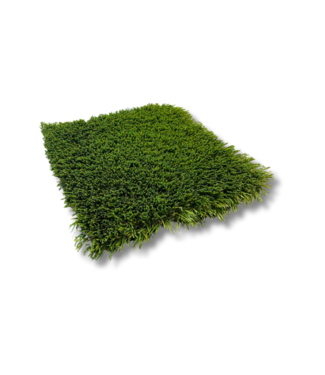 Lux Lawn Lux Lawn Windermere 80 | Per Linear Foot (1ft x 15ft)