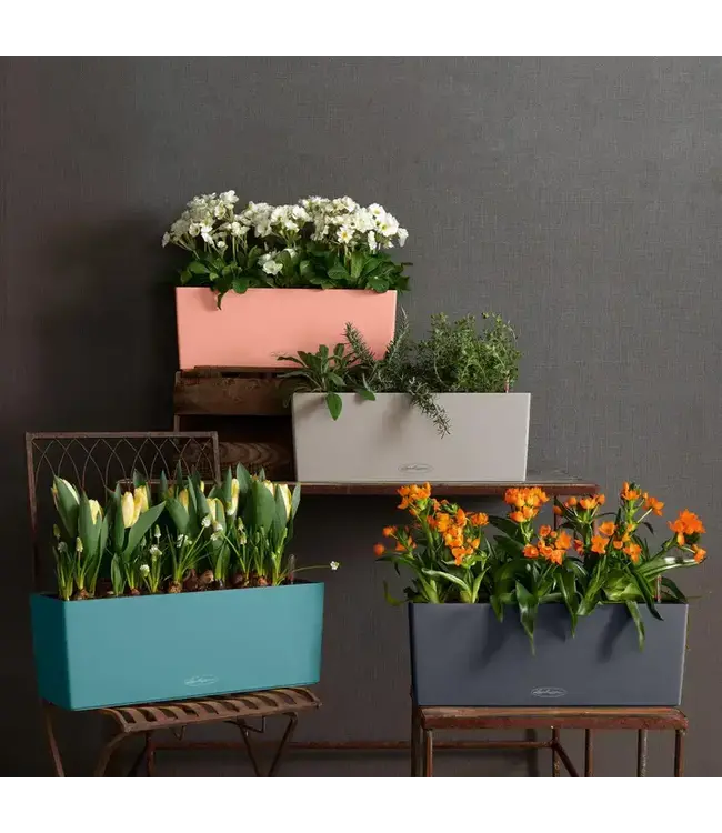 LECHUZA BALCONERA Color Poly Resin Window Box | Color 50 Light Grey